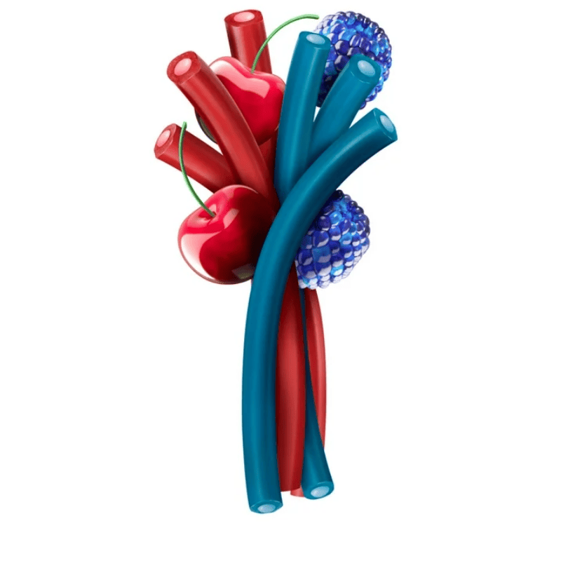 : Jolly Rancher Ropes Blue Raspberry and Cherry