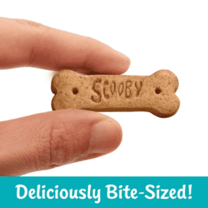 Scooby Doo Graham Cracker Snacks Honey