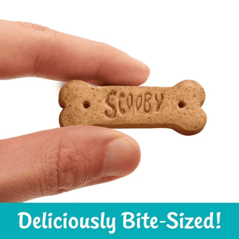 Scooby Doo Graham Cracker Snacks Honey