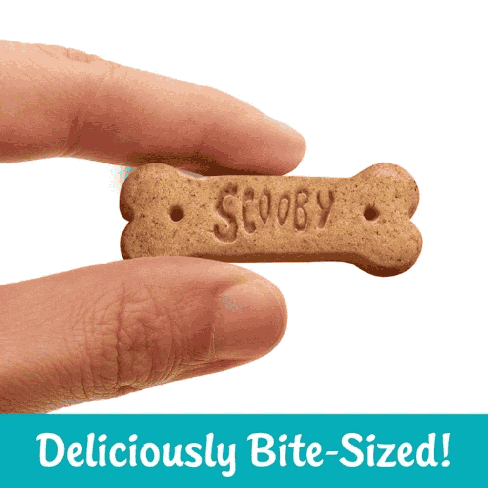 Scooby-Doo! Baked Graham Cracker Snacks Cinnamon Canela 11oz 311g