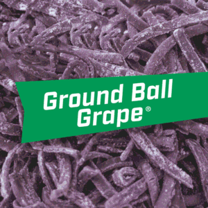 BIG LEAGUE CHEW Bubble Gum Ground Ball Grape 60g