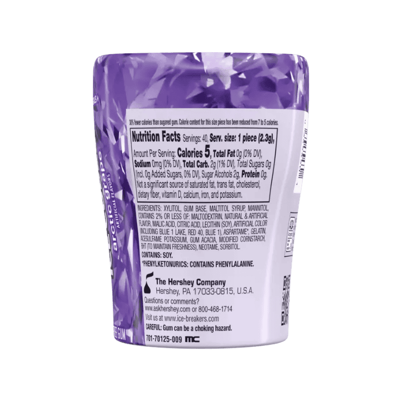 Icebreaker artic grape