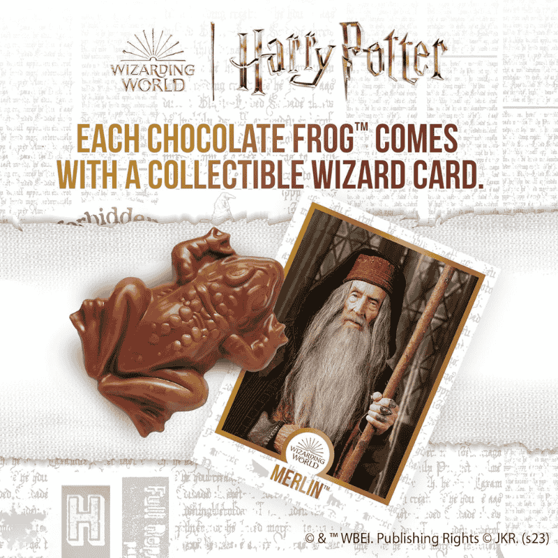 Harry Potter Chocolate Frog - Rana De Chocolate - 15g - Imagen 2