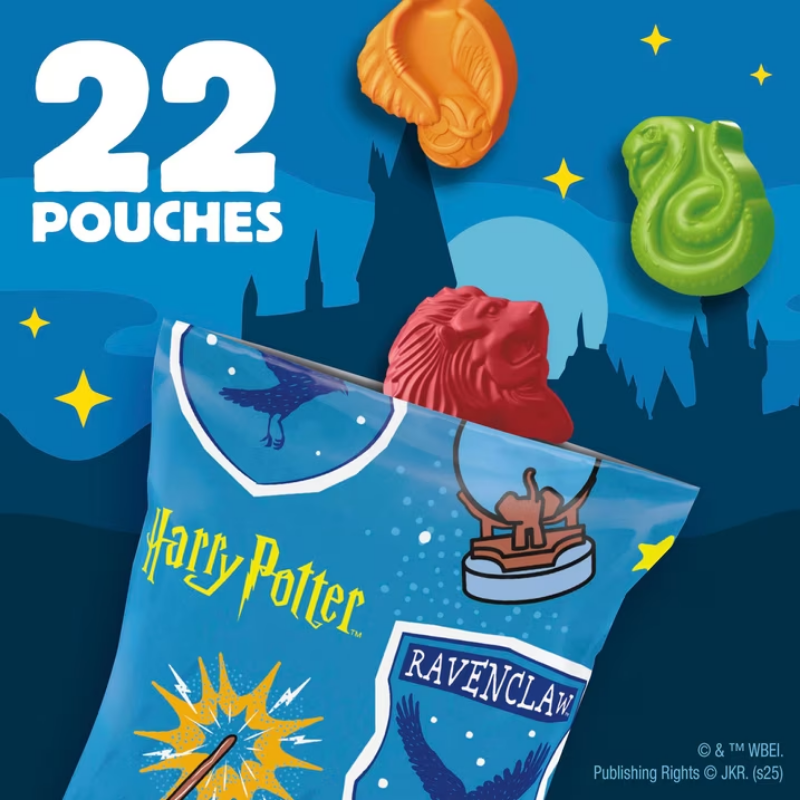 Harry Potter Fruit Snacks - 22 Pouches - 498g